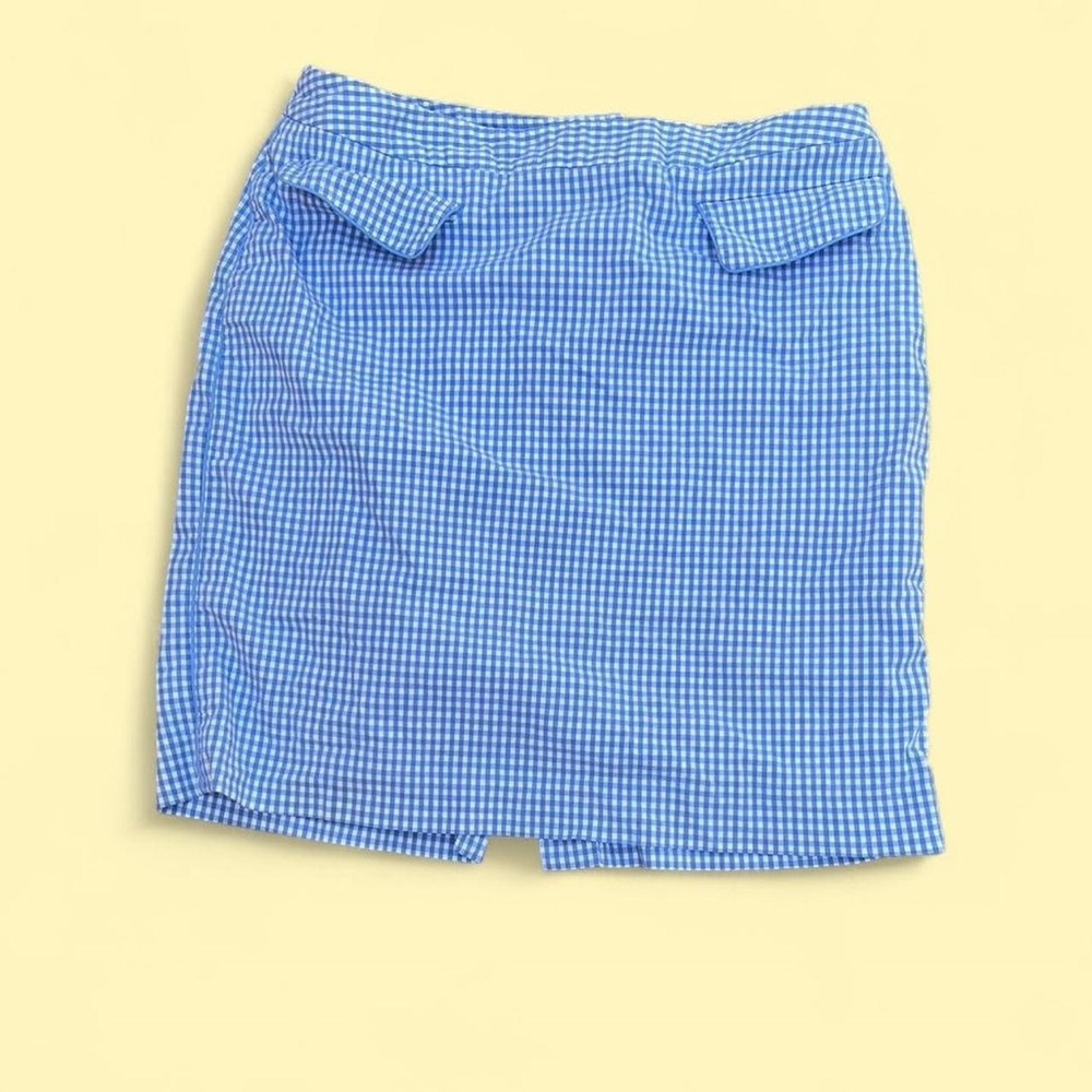 Blue Gingham Skirt